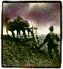 home3aS.GIF (5298 bytes)