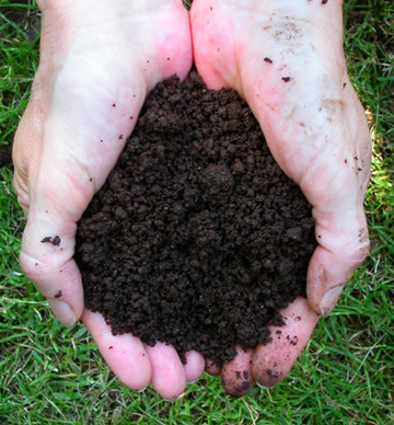 global-repair-advanced biological compost
